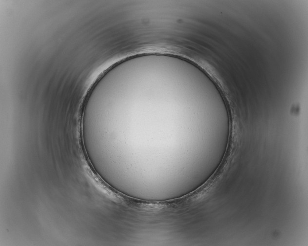 X0000115010854200911161558