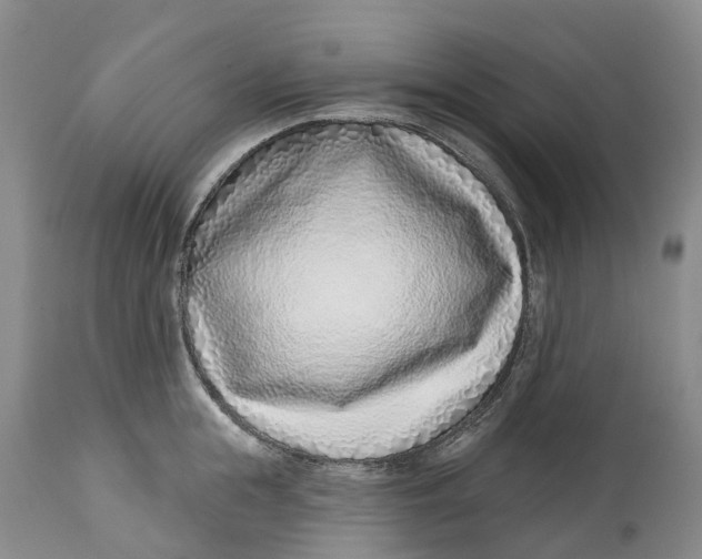 X0000115010855200911161558