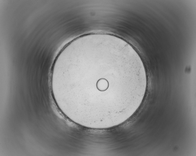 X0000115010856200911161558