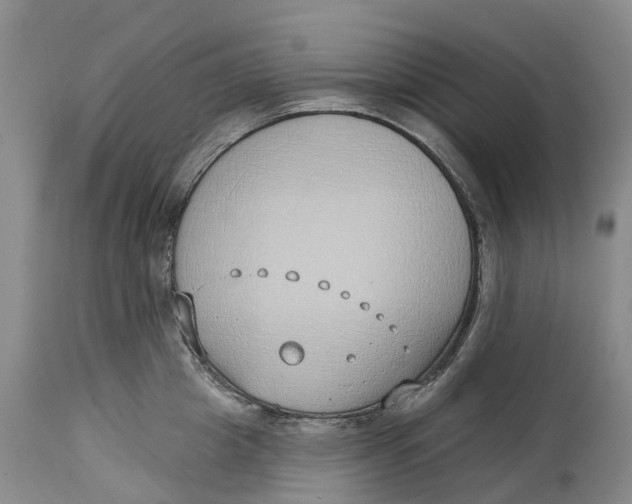 X0000115010857200911161558
