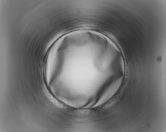 X0000115010859200911161558