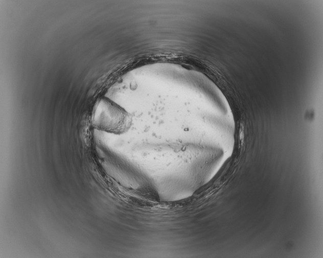 X0000115010867200911161558
