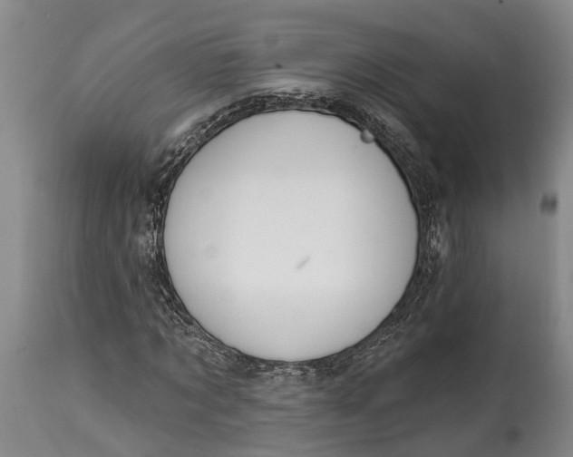 X0000115010869200911161558