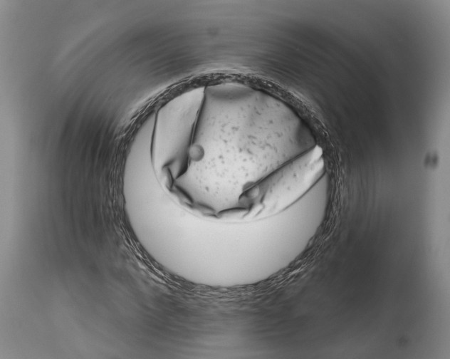 X0000115010872200911161558