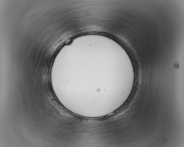 X0000115010873200911161558