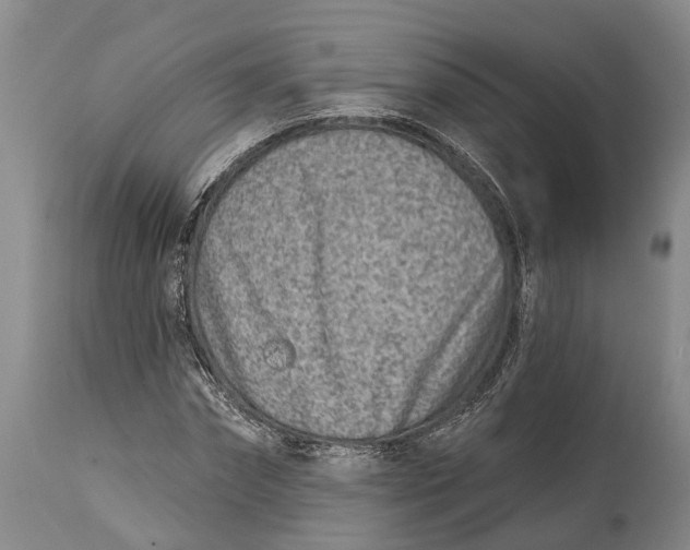 X0000115010874200911161558