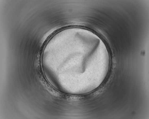 X0000115010875200911161558