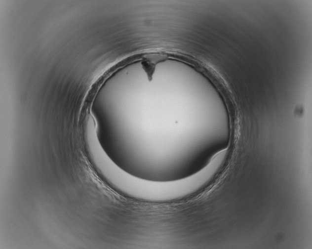 X0000115010876200911161558