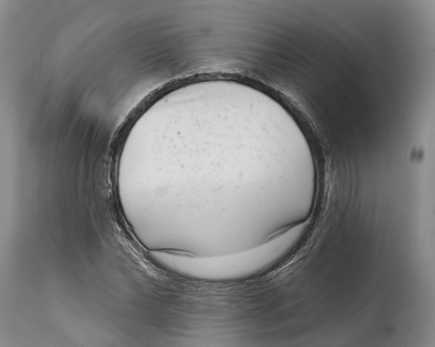 X0000115010878200911161558