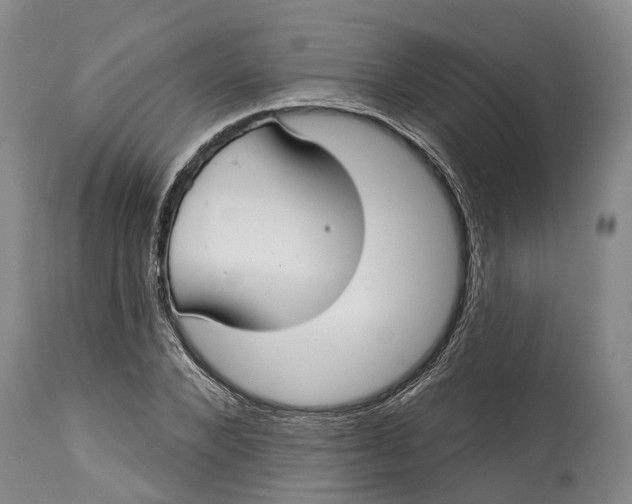 X0000115010880200911161558