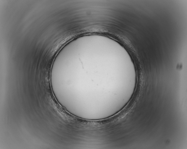 X0000115010881200911161558
