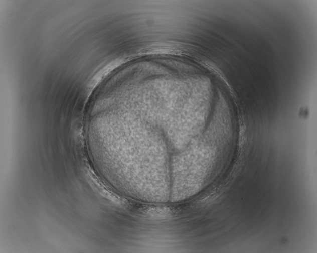 X0000115010882200911161558