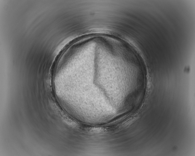 X0000115010883200911161558