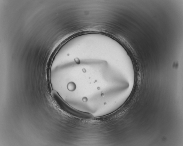 X0000115010884200911161558
