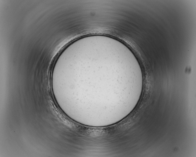 X0000115010886200911161558