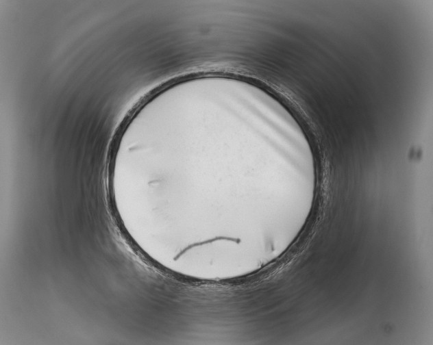 X0000115010888200911161558