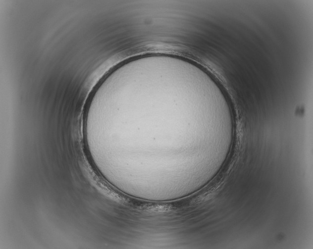 X0000115010891200911161558