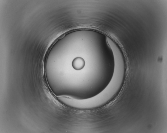 X0000115010892200911161557