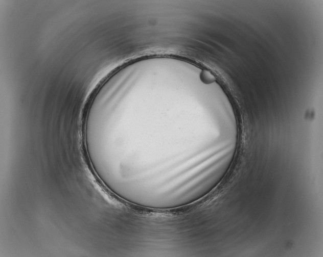 X0000115010894200911161557