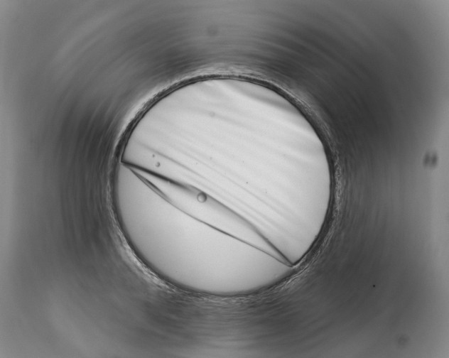 X0000115010896200911161557