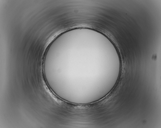 X0000115010898200911161557