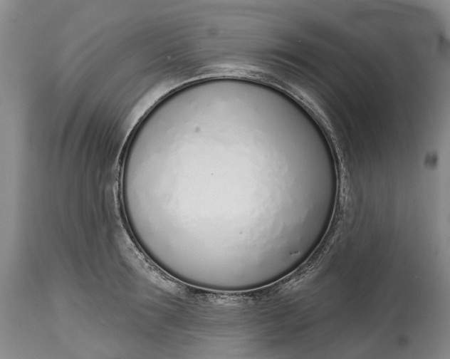 X0000115010899200911161557