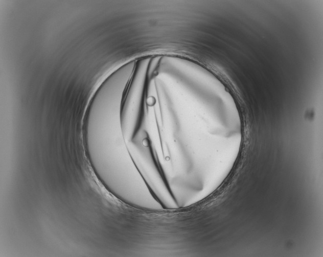 X0000115010900200911161557