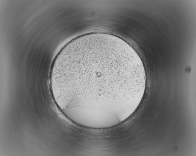 X0000115010904200911161557