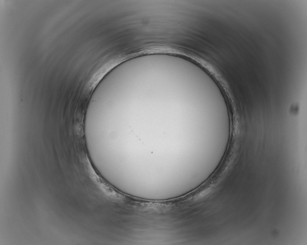 X0000115010905200911161557
