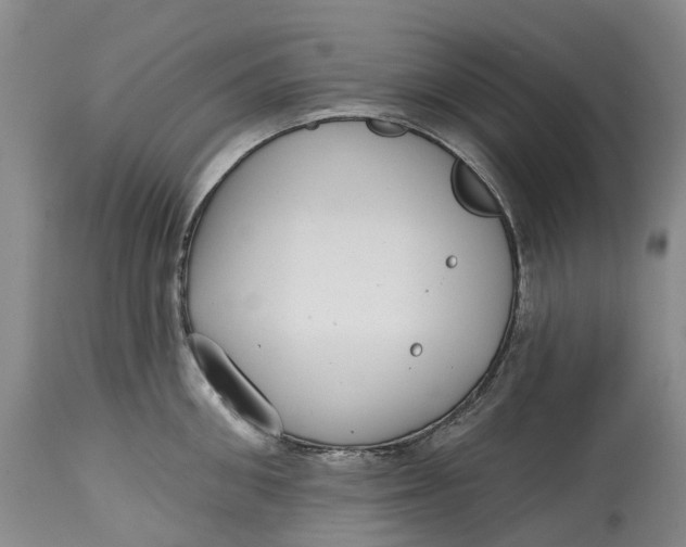 X0000115010906200911161557