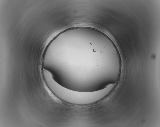 X0000115010909200911161557