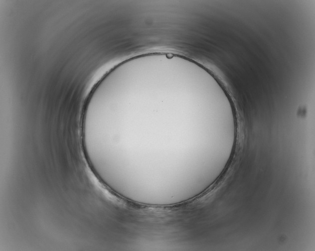 X0000115010910200911161557