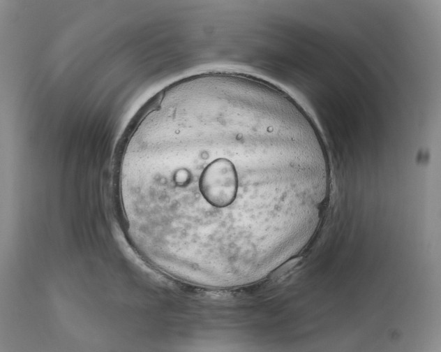 X0000115010911200911161557