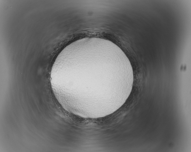 X0000115010913200911161557
