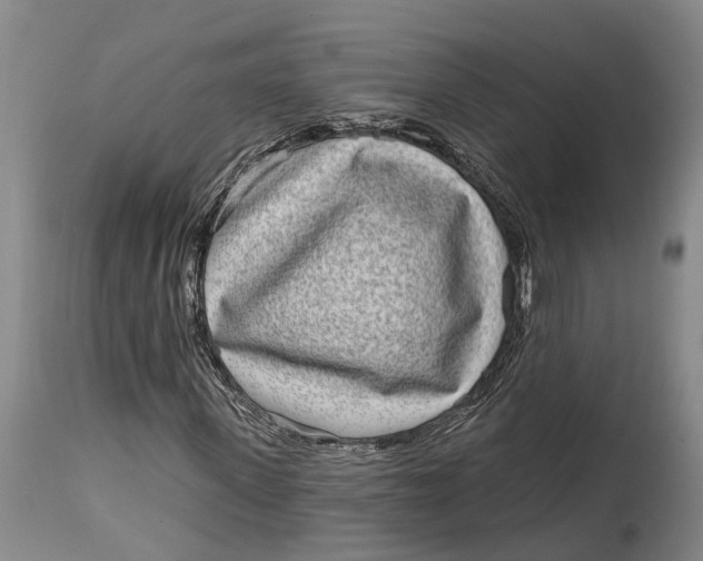 X0000115010915200911161557