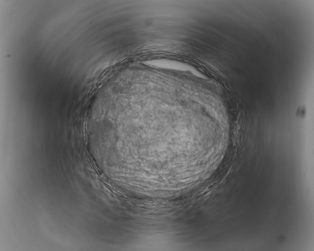 X0000115010917200911161557