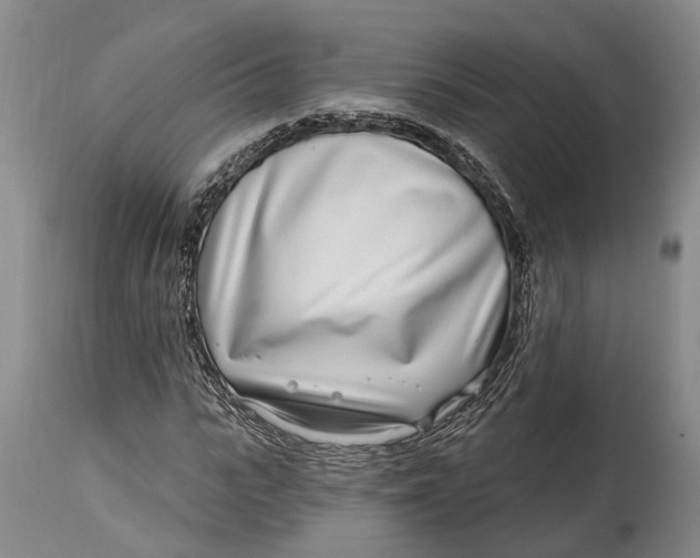 X0000115010919200911161557