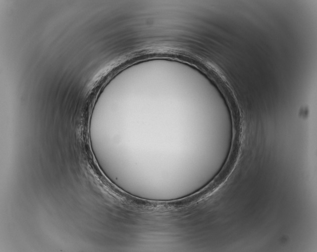 X0000115010922200911161557