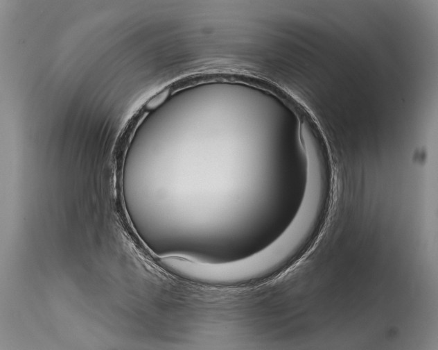 X0000115010925200911161557