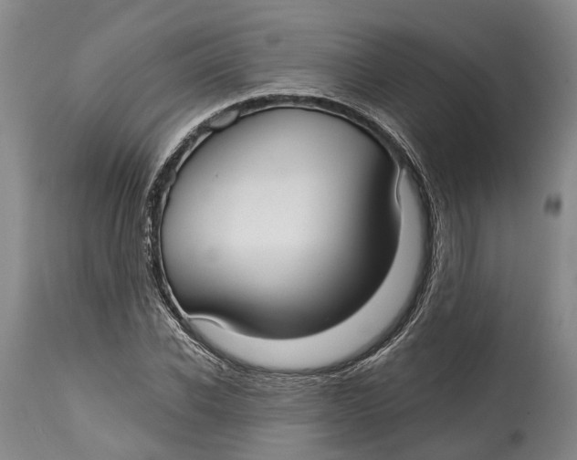 X0000115010926200911161557