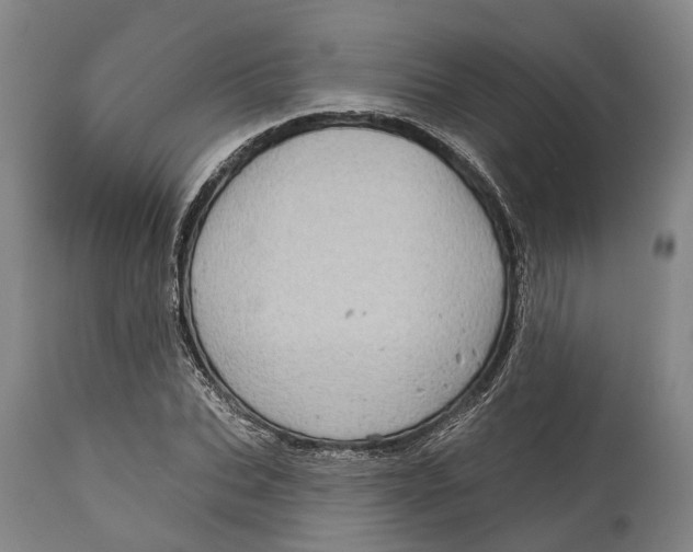 X0000115010927200911161557