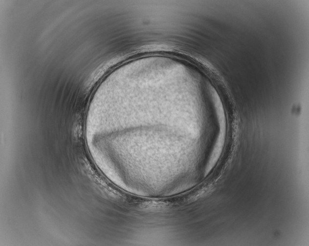 X0000115010929200911161557