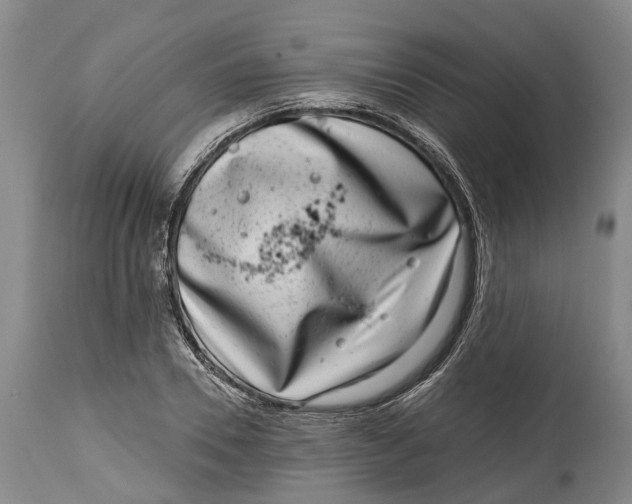 X0000115010930200911161557