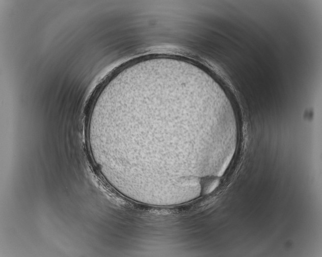 X0000115010931200911161557