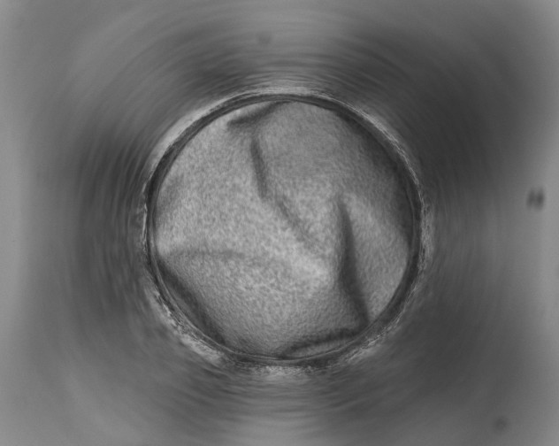 X0000115010933200911161557