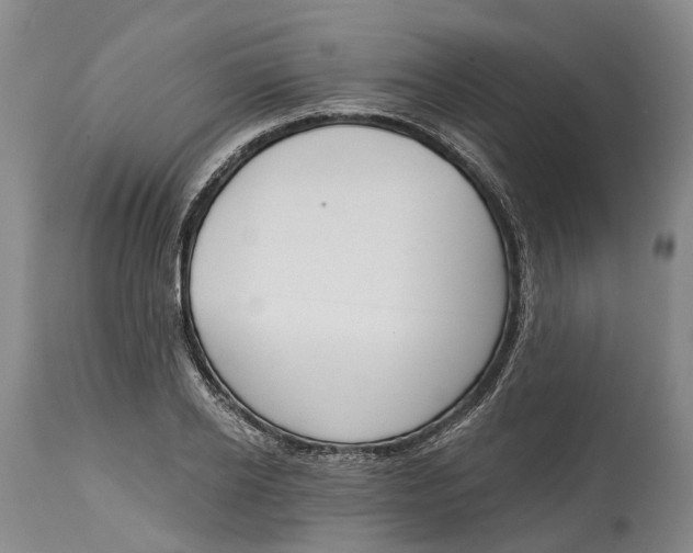 X0000115010934200911161557