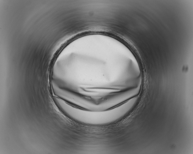 X0000115010935200911161557