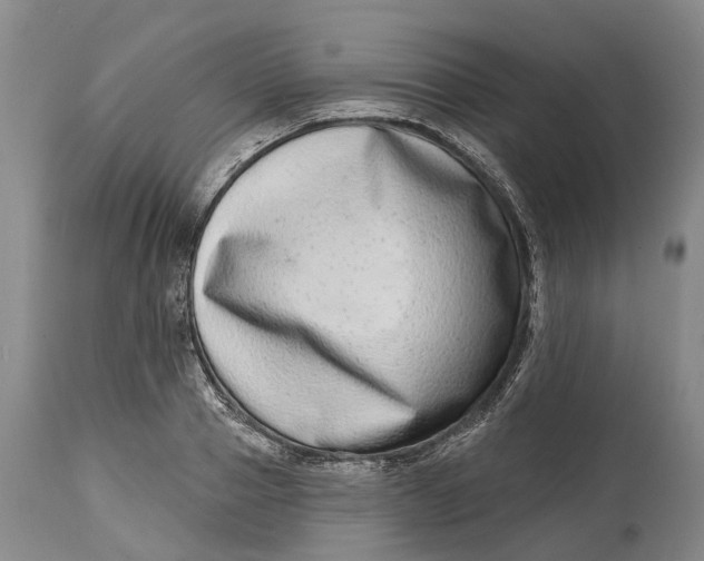 X0000115010937200911161557