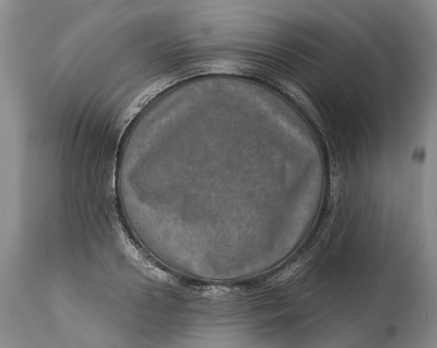 X0000115010938200911161557