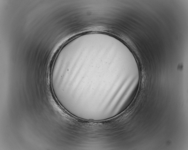 X0000115010939200911161557